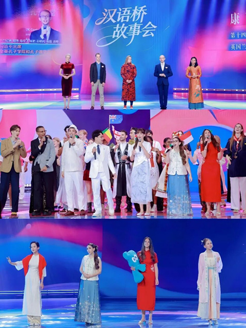 p6.jpg